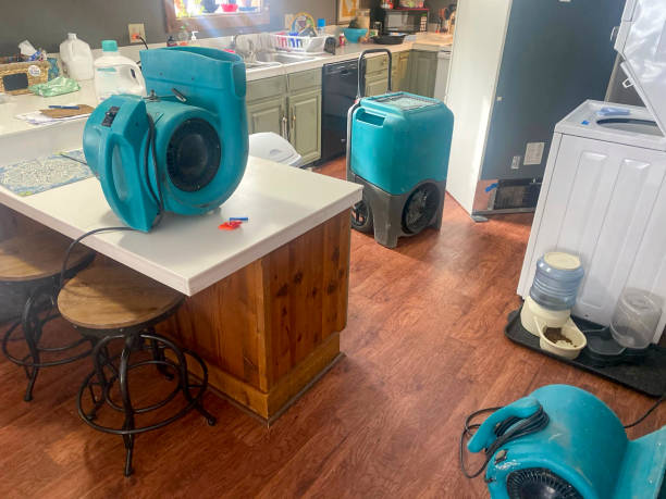 Best Sewage cleanup and water damage restoration  in New Square, NY