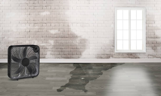 Best Flood restoration services  in New Square, NY